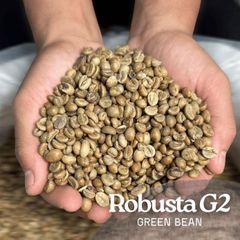 Robusta Coffe Green Bean - Image 1
