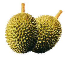 Frozen Whole Fruit - Image 1