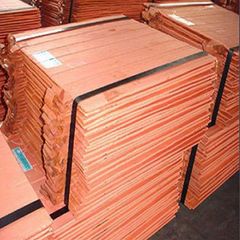 Map Food Company Products - Image 12