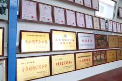 Certificates certificate from Cangzhou Bohai New District Pulu Technology Co., Ltd.