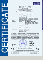 AT78251EC200134 certificate from Guangzhou Zengxing Commercial Equipment Manufacturing Co., Ltd.