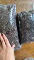 Whole Black Pepper - Image 5