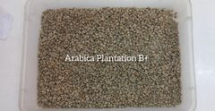 Arabica Coffee - Image 3