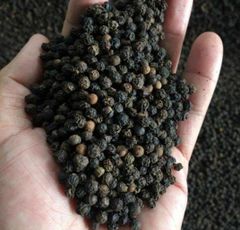 Black Pepper – product photo 2, product detail gallery