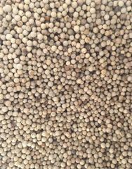 White Pepper – product photo 1, product detail gallery
