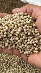 White Pepper – product photo 2, product detail gallery