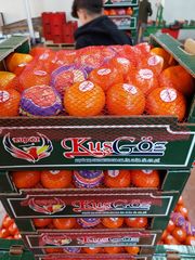 Pure Natural, Handpicked Fresh Organic Mandarin, Premium Vitamin C Fruit Choice. - Image 3
