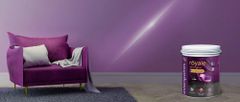 Asian Paints Royale Painting Service Texture Smooth Finish Luxurious Durability Long-lasting Aesthetic Quality Premium Overall Appearance - Image 3