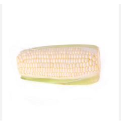 Fast Delivery Premium White Corn Maize Non Gmo 50kg Strong Packaging Clean White Kernels High Starch Content Ideal For Flour Production Feed And Export Trade Buy Now Wholesale Premium Quality - Image 3