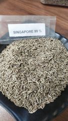 Cumin seeds - Image 1