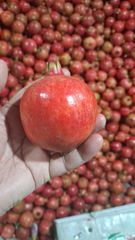Fresh Indian Pomegranate 140–250g  – product photo 1, product detail gallery