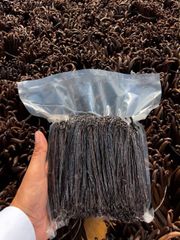 Vanilla Beans (Planifolia & Tahitiensis) - Image 1