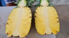 Fresh Pineapple MD2 variety from Cote D'Ivoire/Ivory Coast – product photo 3, product detail gallery