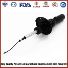 Air Suspension for Porsche 981 Rear - Image 2