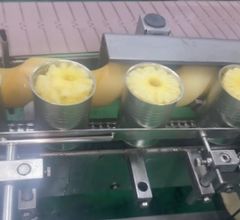 24 tins in carton Pineapple Pieces in light syrup 580ml original Vietnam - Image 2