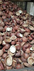 Dried Copra - Image 1