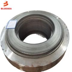 Stainless Steel Flange F304 150-2500# RJ Forging 1/8-56" API ISO9001 0026004 - Xiamen Bluesea Piping Systems Co.,Ltd.