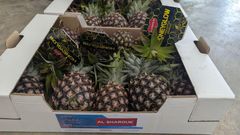 Pineapple – product photo 1, product detail gallery