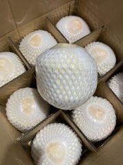 Diamond Coconut - Image 1
