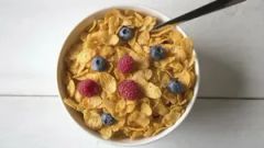 Breakfast Cereal Corn Flakes Snack Food Extruder Machine - Image 3