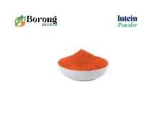 Tagetes Erecta Marigold Lutein Powder for Eye Health - Image 3