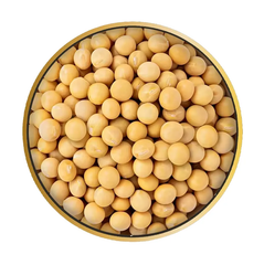 Best Price Organic Canadian Soybean / Dried Soya Beans Bulk Stock Available With Customized Packing - Image 5
