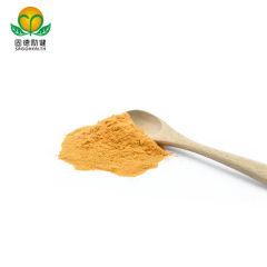 High Quality Super Food Hawthorn Juice Powder - Image 1