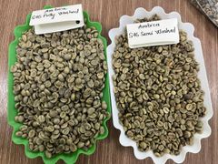 Vietnam Robusta Grade 1 Screen 18 Wet-polished – product photo 5, product detail gallery
