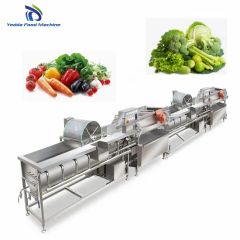 High Capacity Broccoli Parsley Vortex Washing Equipment - Image 5