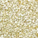 Sesame seed – product photo 2, product detail gallery
