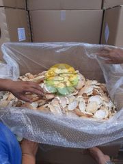 Dried Crab Shell - Image 4