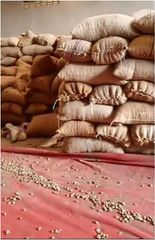 Raw cashew nuts (Anarcadium occidentale) W180 10% defective – product photo 2, product detail gallery
