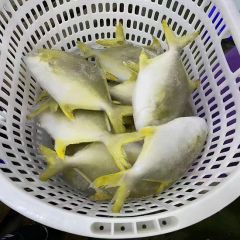 Frozen Golden Pompano Fish Pomfret Supplier Origin China Resource Wild Model NO. 0304 Certification HACCP Shelf Life >12 - Image 2