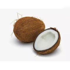 High Quality fresh coconut for sale in good price – product photo 2, product detail gallery