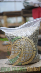 Arabica Green Coffee Beans | Single Origin Cianjur – West Java, Indonesia  Processing Methods & Grades:  -Natural Carbonic Maceration (Anaerobic CM) -Natural (Classic Sun-Dried) -Honey Process -Fully Washed Wet Hulled  -Grade 1 Selection -Washed Extend - Image 4