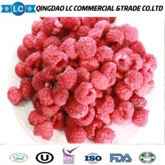 Frozen Raspberry Brokens, Frozen Raspoberries Brokens, IQF Raspberries Brokens, IQF Raspberry Brokens, Frozen Raspberry Crumbles, IQF Raspberries Crumbles - Image 4