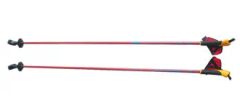 Ski Pole (YB-110) Origin China Model NO. YB-110 Payment Terms: T/T HS Code 6602000090 Min. Order: 1,000 Pieces Transport Package: PP - Image 1