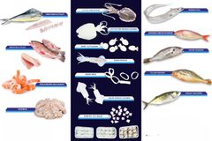 SUBAITI FISH – product photo 1, product detail gallery