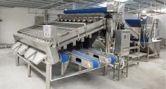 Automatic Industrial 18 Roller Fast Shrimp Grader Multifunction Size Fish Prawn Sorting Grading Machine - Image 4