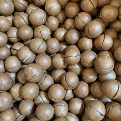 We supply premium quality Kenyan Macadamia Nuts with Shell and Without Shell for export. Our macadamia nuts are naturally grown, carefully selected, and processed to meet international export standards. They are rich in healthy oils, fresh in taste, and ideal for roasting, snacking, confectionery, and food processing industries. Available in bulk quantities with competitive CIF export prices to your preferred destination port. - Image 4