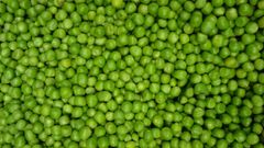 Green Peas (Indian Origin) - Image 1