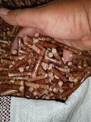 Wood Pellet - Image 2