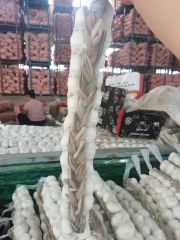 China New Big Size Braid Fresh Pure White Garlic Style Whole Origin China HS Code 070320 Type Pure White Trademark Green - Image 5