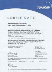 ISO certificate from Ningbo Everwinner Auto Parts Co., Ltd.