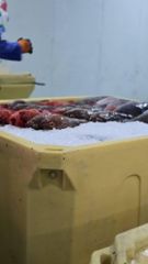 Company – thumbnail 6 of 13, supplier detail gallery