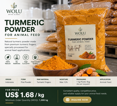 Bulk Turmeric Finger Powder for Animal Feed from Indonesia – Natural Fine Ground Turmeric Powder, 1 kg Plastic Packing - Image 1