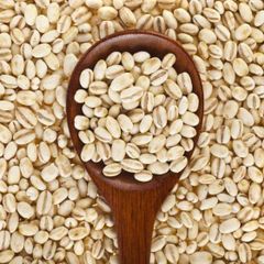 Barley - Image 1