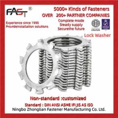Metric Toothed Lock Washers with Internal Teeth - Image 4