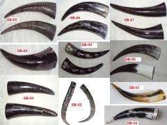 Cow Horn Drinking Horn - Image 3