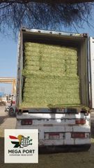 Alfalfa Hay – product photo 2, product detail gallery